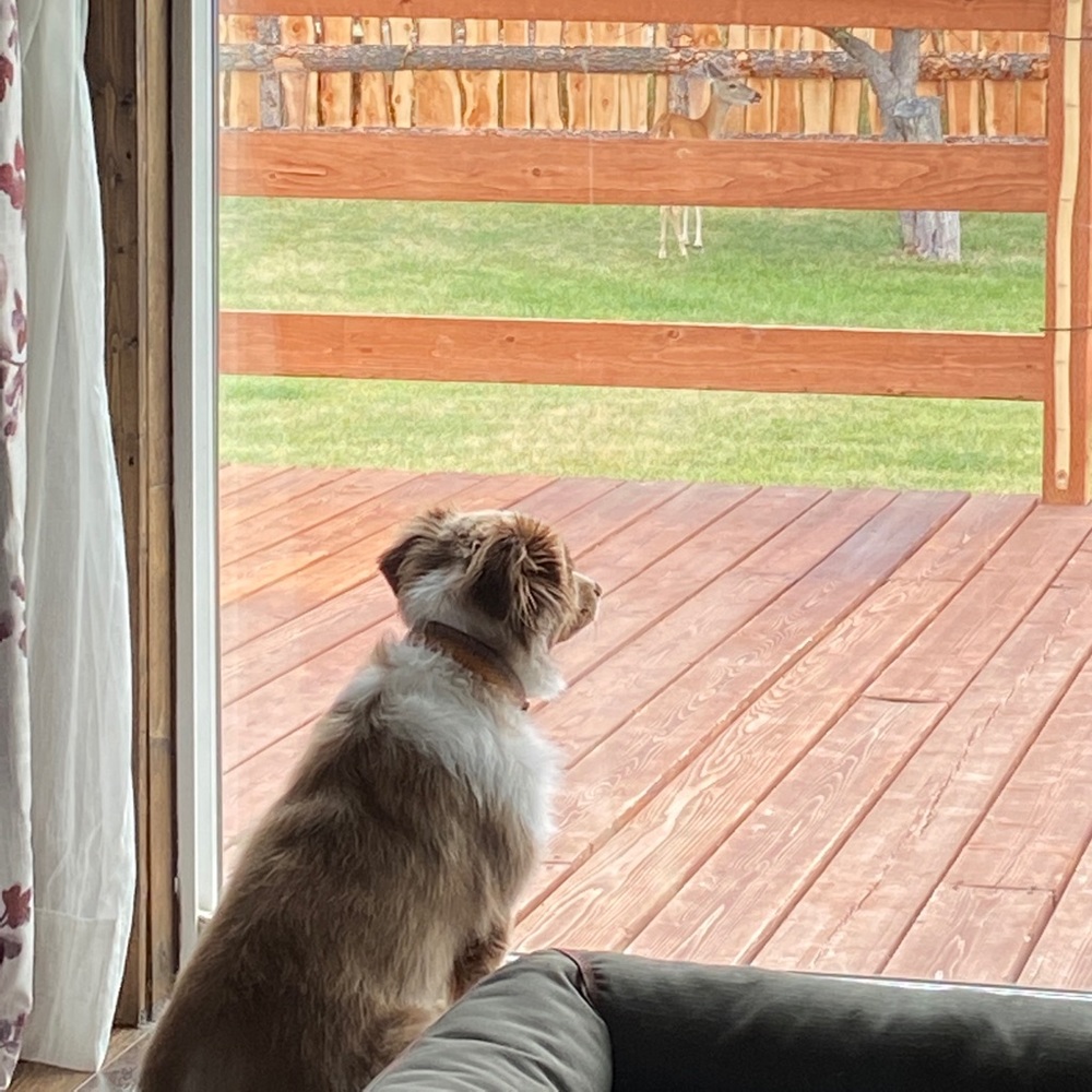 Meet your Posher, Cindy